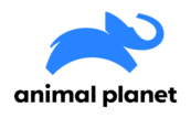 Animal Planet