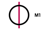 M1
